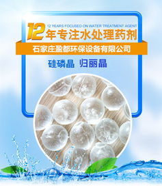 臺州鍋爐歸麗晶價格 公司動態 石家莊盈都環?？萍? />
</span>
<span id=