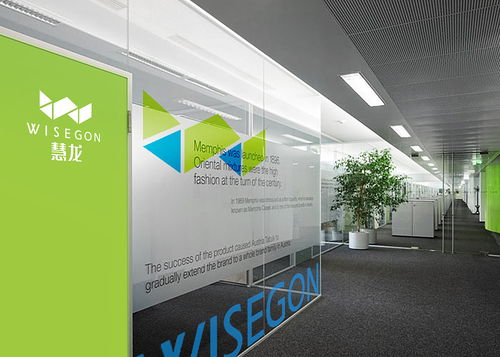 慧龍環?？萍?品牌設計