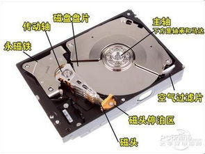 綠色未來，共贏商機——首能環保材料產品解析與加盟優勢